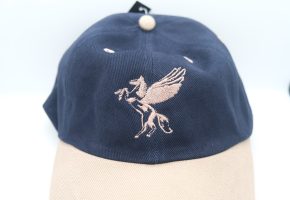 Pegasus Baseball Cap blue and taupe